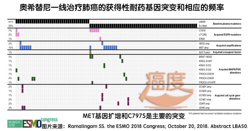 奧希替尼最新價格動態(tài)及其市場影響分析