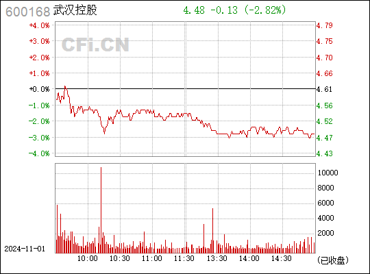 武漢控股最新消息全面解讀