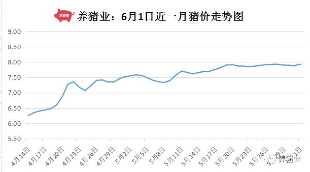 全國生豬價(jià)格最新行情解析