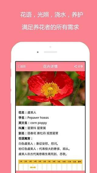 花開app最新版下載探索，全新體驗與功能詳解