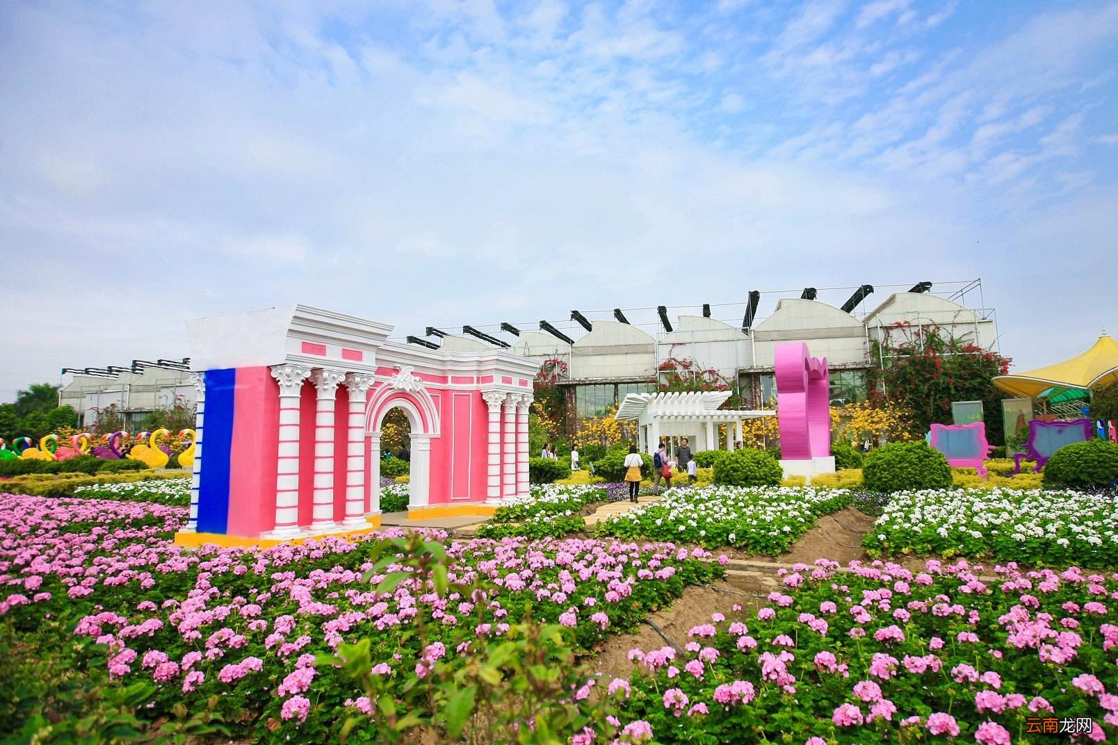 百萬葵園門票最新價格，美麗之旅的探索與體驗