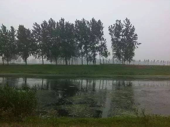 蒙城濕地公園最新動(dòng)態(tài)，綠色生態(tài)建設(shè)新篇章啟動(dòng)