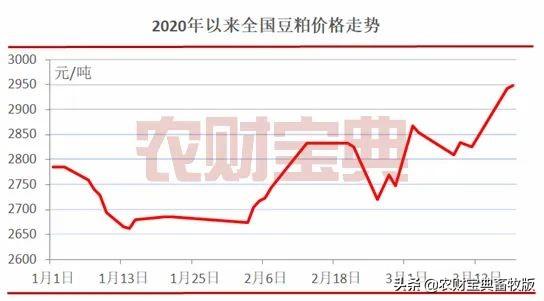 今日豆粕價格行情深度解析與展望