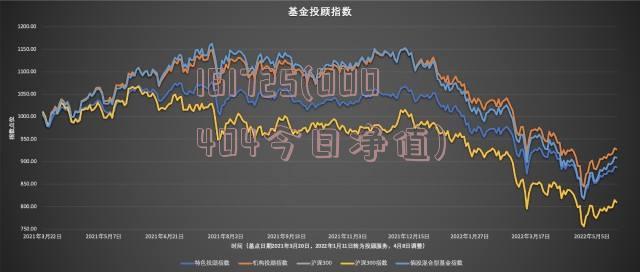 全面解讀，今日最新凈值公布，關于161725基金凈值查詢分析