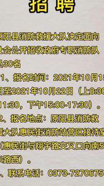 原陽在線招聘最新動態與行業趨勢解析